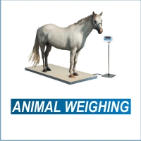 animal-weighing-thumbnail